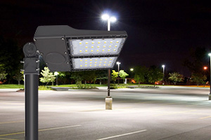 Shoebox Street Light
