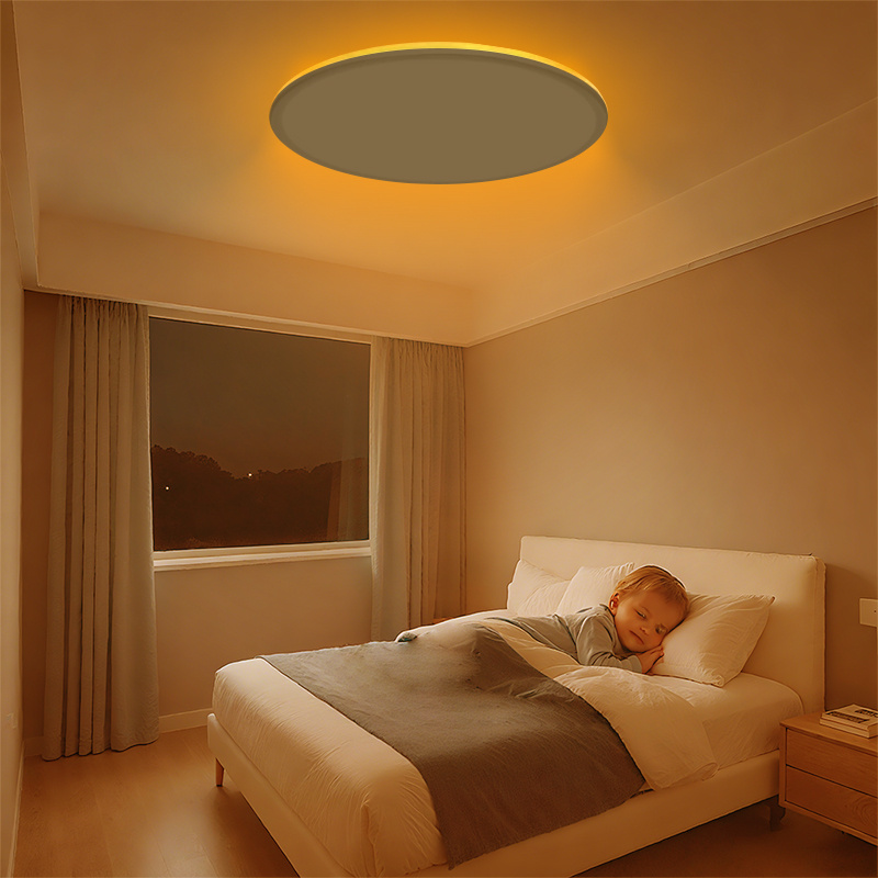 Round Panel Light with Remote Control